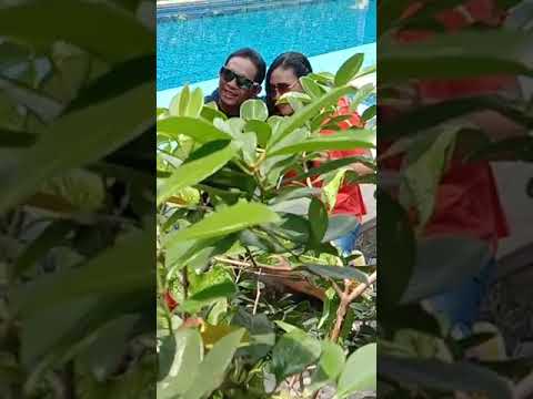 PENGARAPAN-vidio klip Tresne ngecosin tembok (Nyoman abas &Nyoman Sekar)