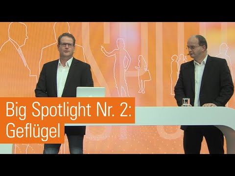 , title : 'Big Spotlight Nr. 2 | Verbesserung der Haltungsbedingungen von Jung  und Legehennen'