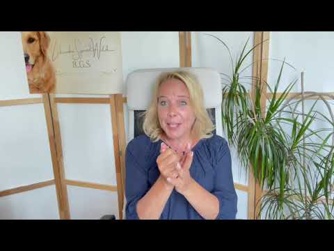 Der Wert deines Hundes