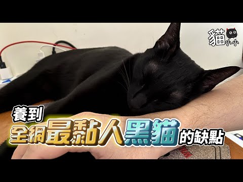 養黑貓的人