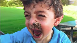 this BUG crawled into his NOSE...