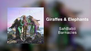 Giraffes & Elephants Music Video