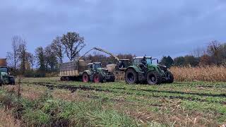 Partoens Agro Service | Mais hakselen 2021 | Krone Big X 780 | Laatste Loodjes