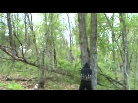 4-29-12 Jungle Rumble part 2.avi