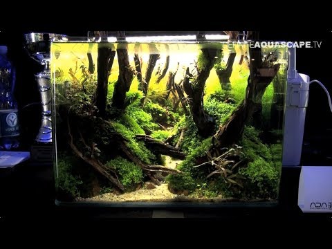 The Art of the Planted Aquarium 2017 - Nano tanks 10-13