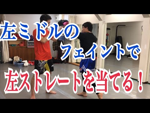 左ミドルのフェイントで左ストレートを当てるテクニック