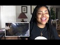 SZA - GARDEN (SAY IT LIKE DAT) REACTION VIDEO SZA - GARDEN (SAY IT LIKE DAT) REACTION VIDEO