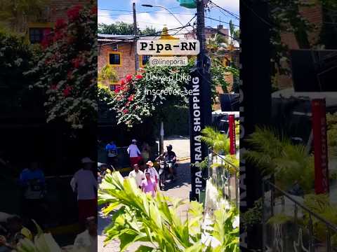 Amo Pipa #riograndedonorte #turismo #youtubeshorts #turismo #praiasdonordeste #nordeste #brasil