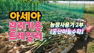 아세아관리기용 트레일러 농장사용기 2부[홍삼마늘 수확] #farming