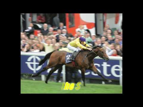 Top 20 Derby Winners 1950 - 2017