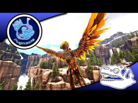 ComKean's NYE PHOENIX  !! :: ARK PUGNACIA :: EP6