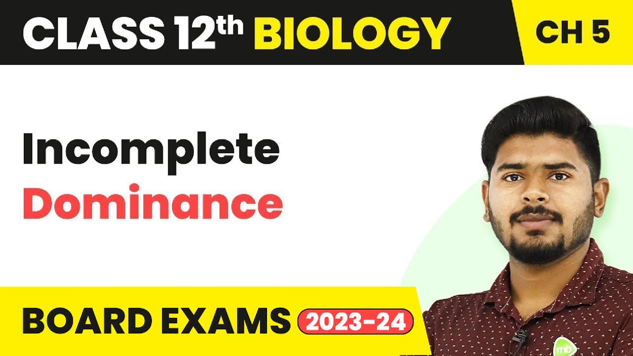 Incomplete Dominance - Principles of Inheritance and Variation | Class 12 (2022-23)