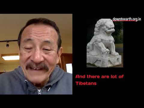 How did the snow lion become the symbol of Tibet? Jamyang Norbu explains