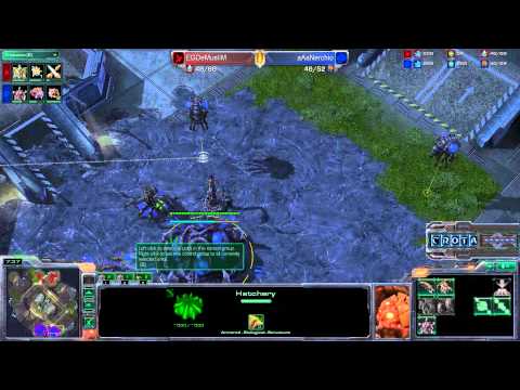 Demuslim (P) vs Nerchio (Z) on Metalopolis - SC803