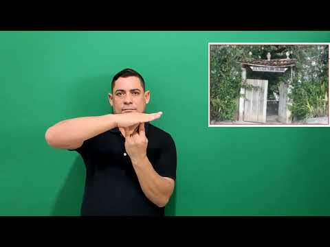 Miniatura do vídeo: Terreiro 077