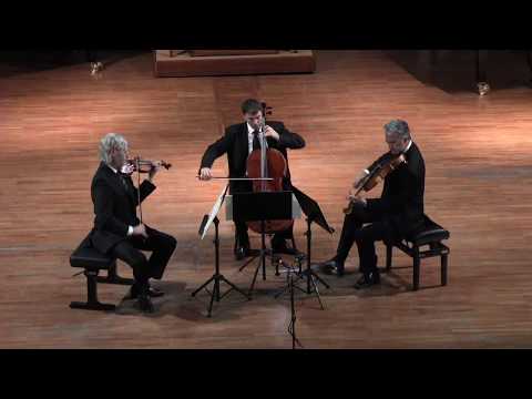 Nuovo Trio Italiano d'Archi in concert