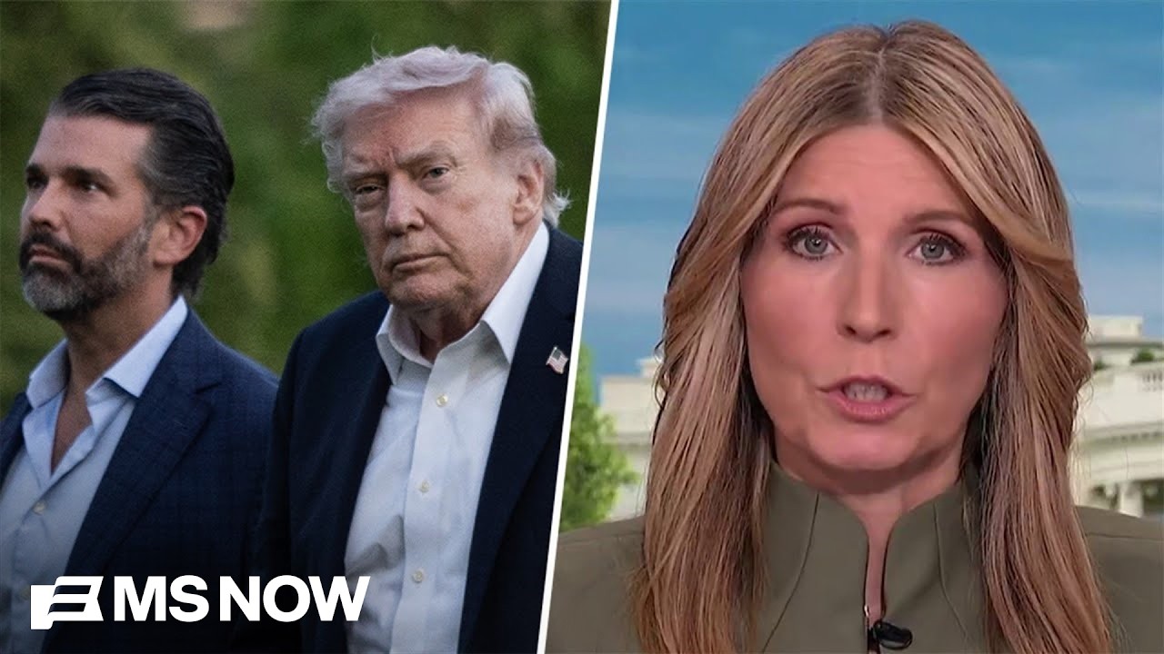 Video: MSNBC panel slams Trump family ties to Putin-linked oligarch over Trump Jr. wedding funding