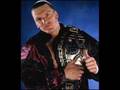 Triple H's 2nd theme - Symphony Number 9 