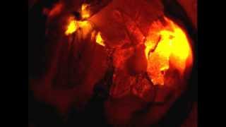 Adrian Sherwood - Starship Bahia