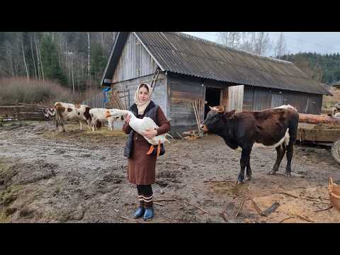 Simple life in the mountains! Cooking roasted duck in the oven