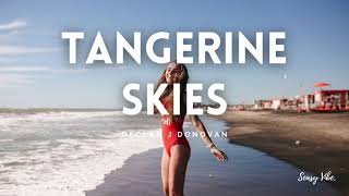 Declan J Donovan - Tangerine Skies | Lyrics