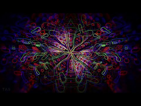 Captain Hook & Skizologic - The Lost Diamond (TAS Visuals / 4K)