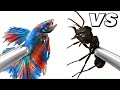 1 000 Ants V S Fish Anttrek Ant Colony Simulation