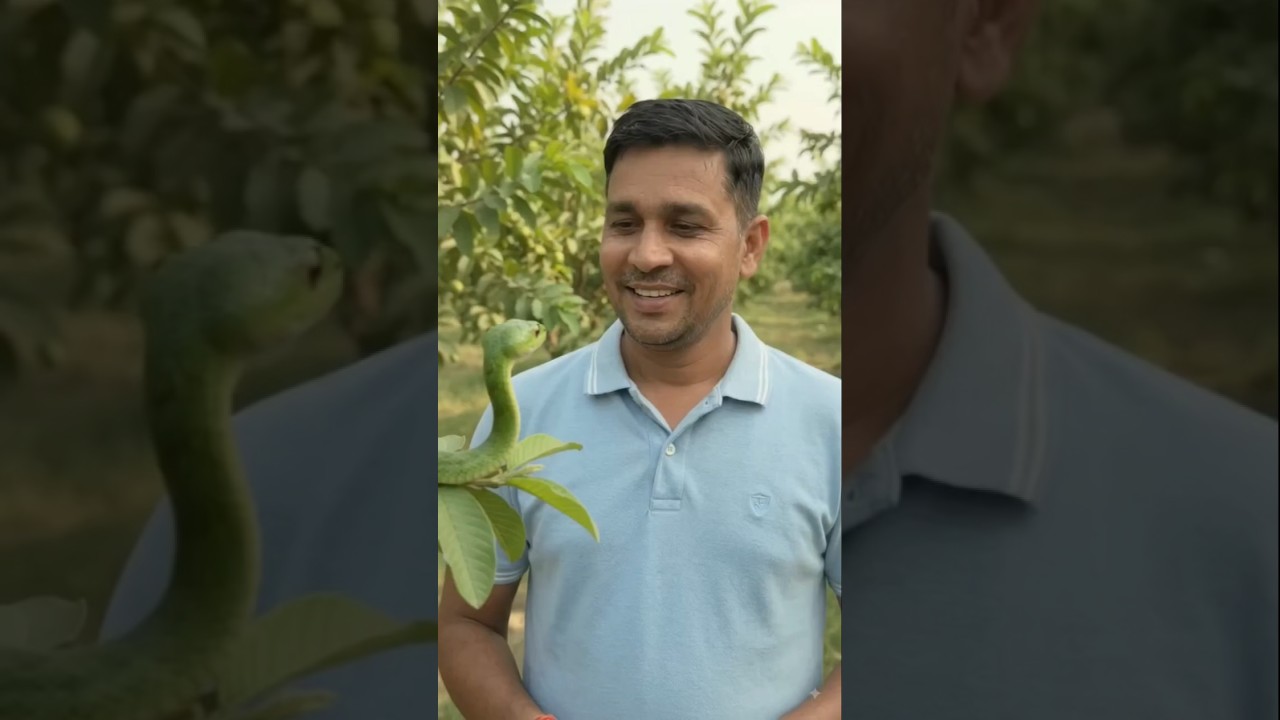 सांप औरआदमी हंसी मजाक 🪱🪱🪱🪱🔱🔱🥰😘👏🪱💯😆🥱#shorts #funny#comedy #viral #ai shorts #rajmeenashorts#explore