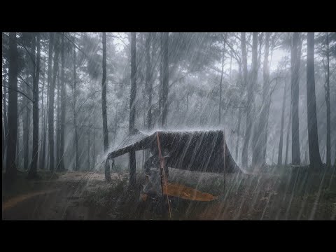 POWER FULL BRUTAL RAINSTORM ‼️ CAMPING HEAVY RAIN || RELAXING HEAVY RAIN CAMPING – ASMR 