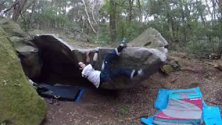 笠間　樹海　初段