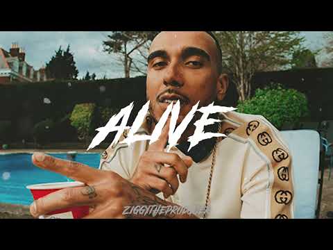 [FREE] Bru-C X Mr Traumatik X Bou Summery Party Drum and Bass Type Beat 'Alive' (Prod. Ziggy)