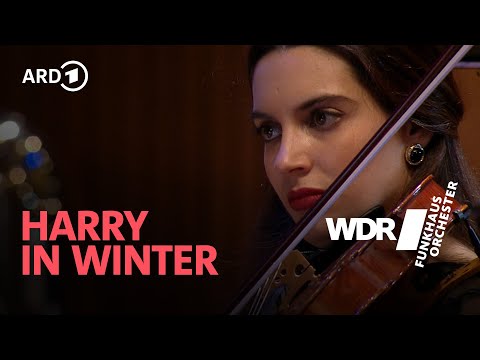 Harry Potter and the Goblet of Fire - Harry in Winter | WDR Funkhausorchester