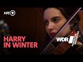 Harry in Winter aus: Harry Potter und der Feuerkelch (live) | WDR Funkhausorchester