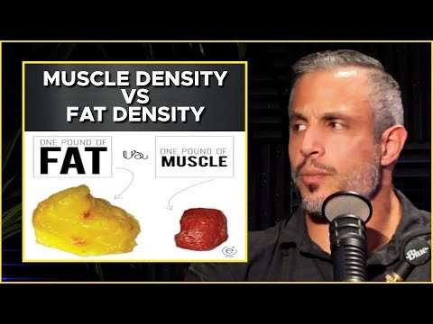 When You're Doing Everything Right, But The SCALE Isn't Moving