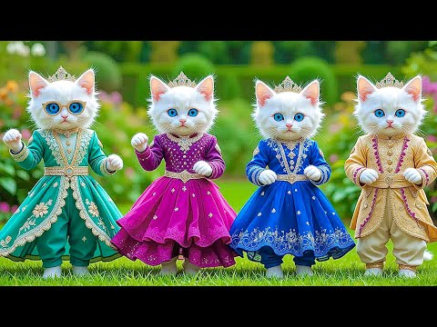 Dudi Dudi Dam Dam 💃💃💃 Cutest Cat Dancing On Dudi Dudi Dam Dam😺 #dudidudi #dumdum #catdancing