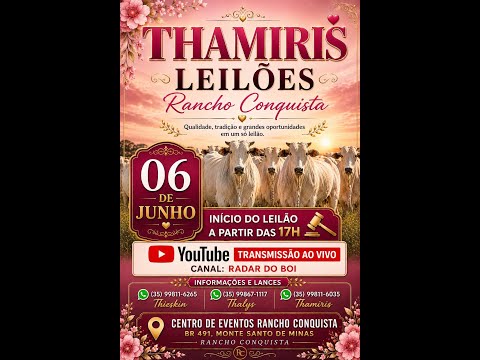 THAMIRIS LEILÕES RURAIS MONTE SANTO DE MINAS 06/06/2026