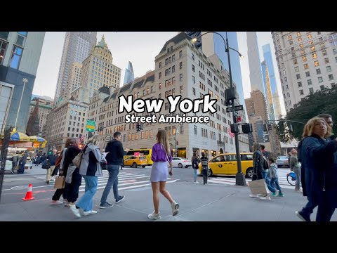 New York Street Ambience 4k Video - City Sounds, Traffic, Sound Effects, 5th Avenue