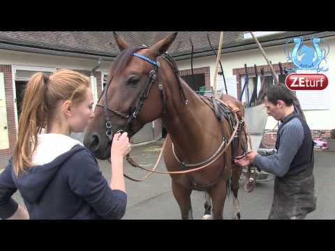 Rencontre avec Julien RAFFESTIN - A2TURF.COM