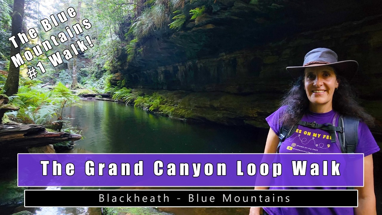 🚙 4WD Adventures in Blue Mountains: The Complete Guide for 2026!