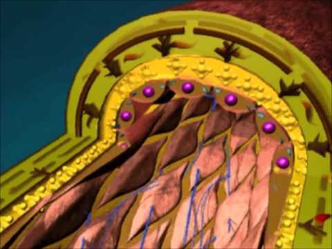 Gewichtsreduzierung bei Diabetes Knoblauch von Diabetes