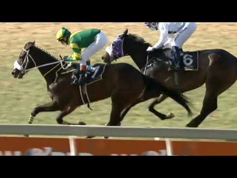 SELL HIGH - Turffontein 12 September