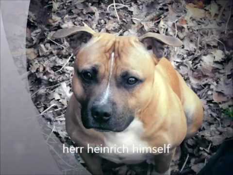 engelse stafford  tyson en luna