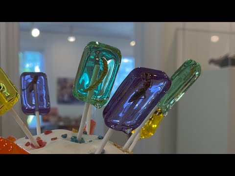 IMoDD Insecta Delecta