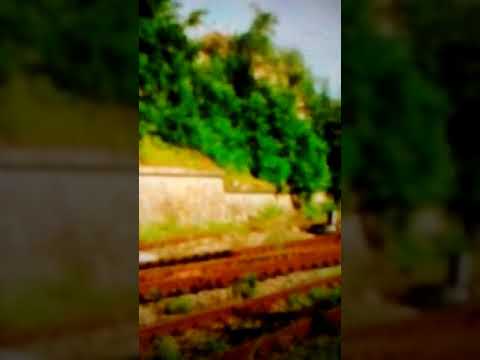 IR 1932 "Bihor Mangalianu" Oradea Mangalia demarează din Oradea. 28.08.2016.