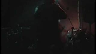 P.I.Light - Gracefull