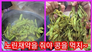 청자5호 서리태콩 노린재약 살포및 먹방~ 얼마나 컷을까요? 귀농귀촌,전원일기 서리태병충해 농약