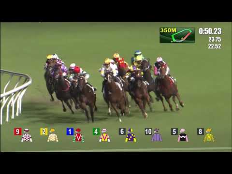 22/9/2021 (51) All Beauty - Z Purton