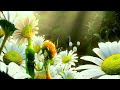 Epic Movie 2013 In Hindi Animation Movie Explained In Hindi Best Animation Movie Animated Movie