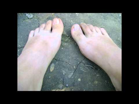 Pasarea Colibri - Vara la tara