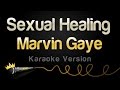 Marvin Gaye - Sexual Healing (Karaoke Version)